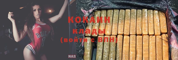 сатива Новосибирск