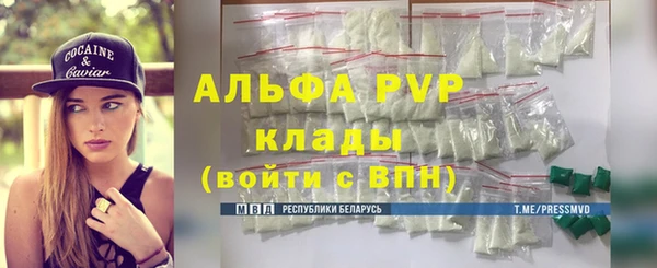 индика Бронницы