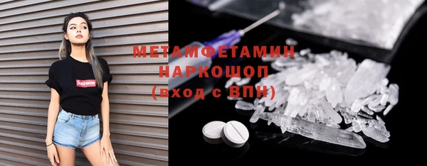 сатива Новосибирск