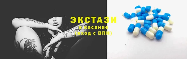 гидропоника Санкт-Петербург