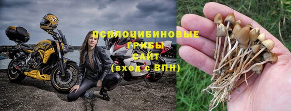 сатива Новосибирск