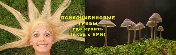 гидропоника Санкт-Петербург