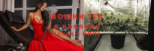 сатива Новосибирск