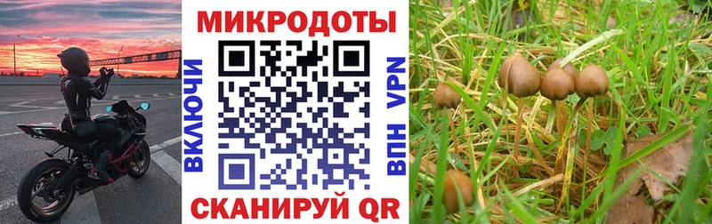 продажа наркотиков  Жигулёвск  Псилоцибиновые грибы Psilocybine cubensis 